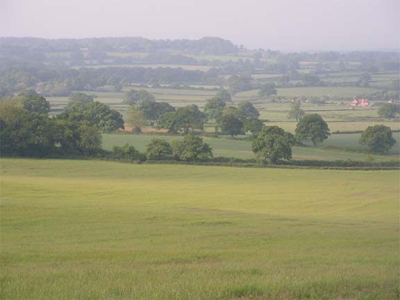 A view of Purse Caundle from the Farm